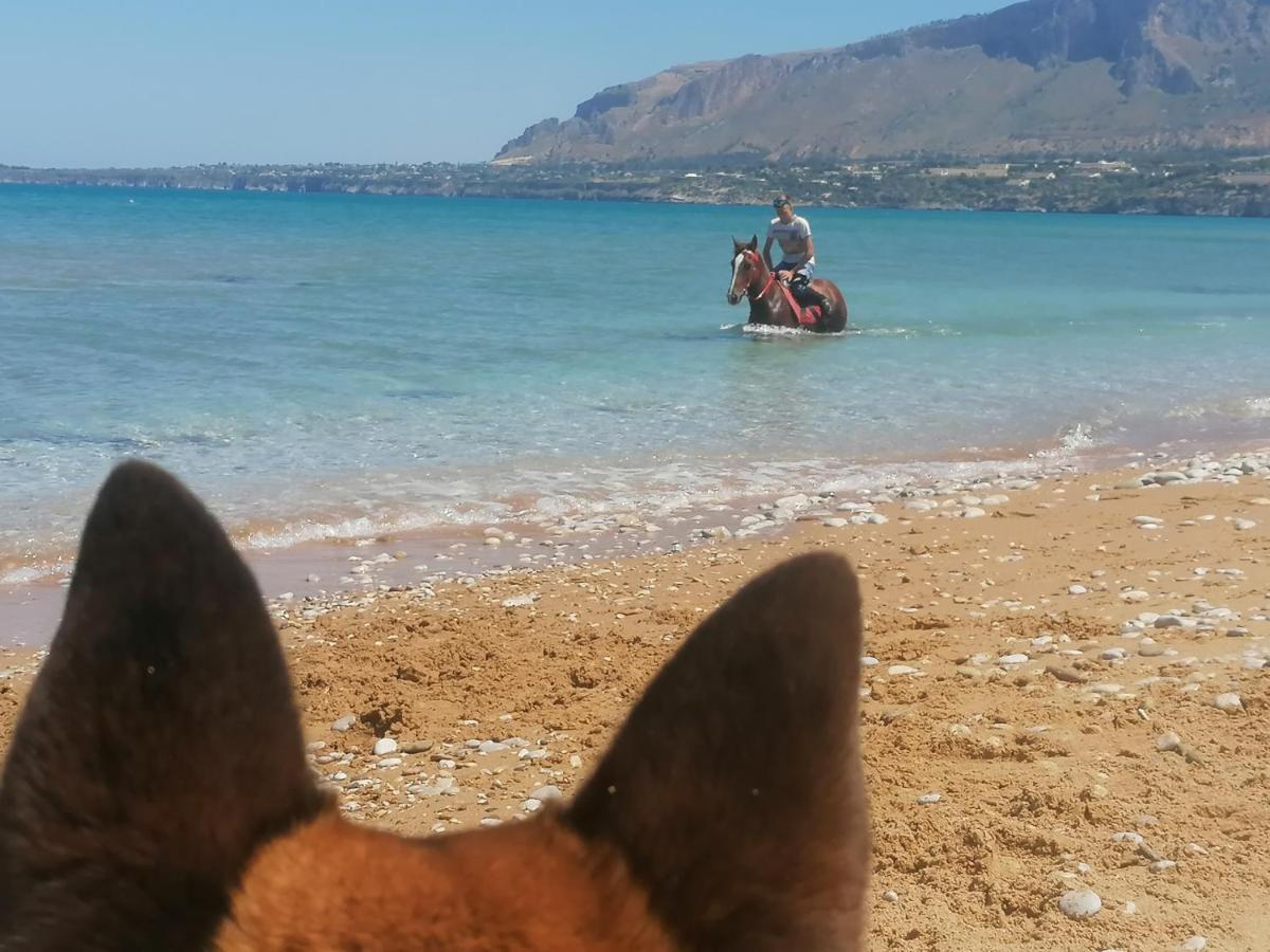 Villa Mare Ercole Trappeto (Sicily) Esterno foto